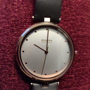 #21 Skagen Denmark Watch
